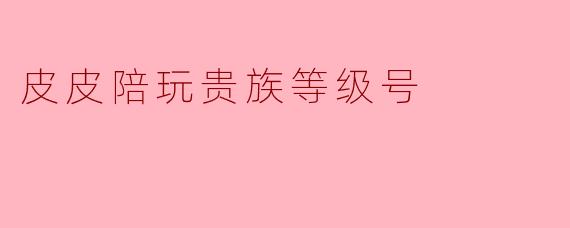 皮皮陪玩贵族等级号