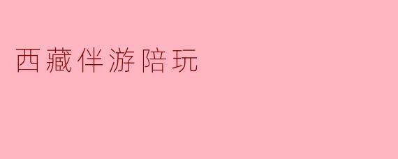 西藏伴游陪玩