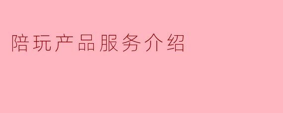 陪玩产品服务介绍
