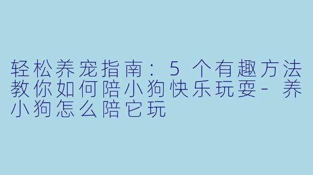 轻松养宠指南：5个有趣方法教你如何陪小狗快乐玩耍-养小狗怎么陪它玩