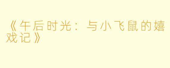 《午后时光：与小飞鼠的嬉戏记》