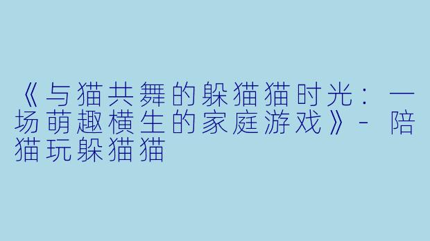 《与猫共舞的躲猫猫时光：一场萌趣横生的家庭游戏》-陪猫玩躲猫猫