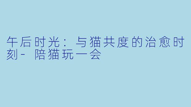 午后时光：与猫共度的治愈时刻-陪猫玩一会