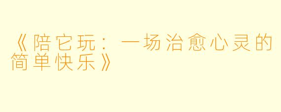 《陪它玩：一场治愈心灵的简单快乐》