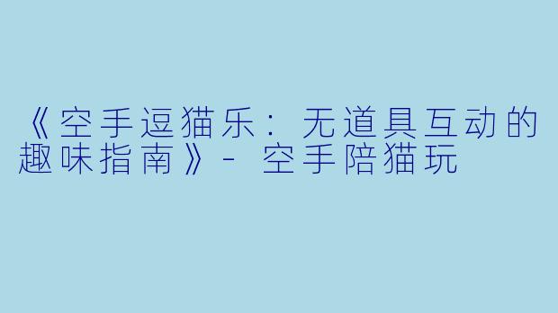 《空手逗猫乐：无道具互动的趣味指南》-空手陪猫玩