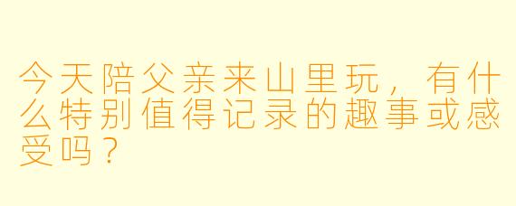 今天陪父亲来山里玩，有什么特别值得记录的趣事或感受吗？