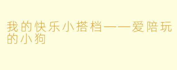 我的快乐小搭档——爱陪玩的小狗