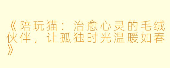 《陪玩猫：治愈心灵的毛绒伙伴，让孤独时光温暖如春》
