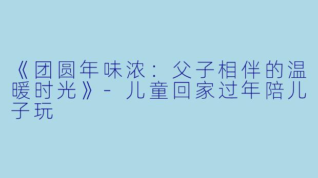 《团圆年味浓：父子相伴的温暖时光》-儿童回家过年陪儿子玩