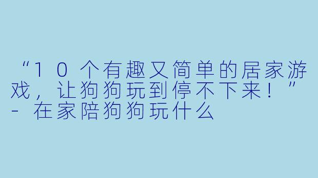 “10个有趣又简单的居家游戏，让狗狗玩到停不下来！”-在家陪狗狗玩什么
