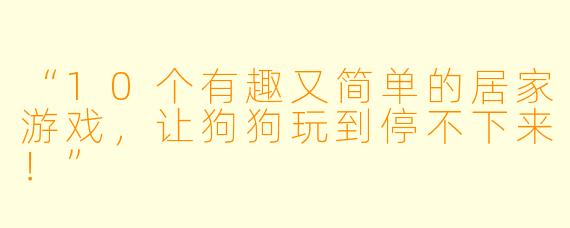 “10个有趣又简单的居家游戏，让狗狗玩到停不下来！”