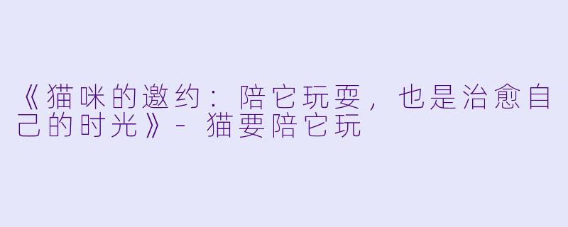 《猫咪的邀约：陪它玩耍，也是治愈自己的时光》-猫要陪它玩