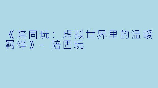 《陪固玩：虚拟世界里的温暖羁绊》-陪固玩