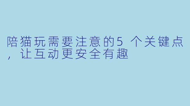 陪猫玩需要注意的5个关键点，让互动更安全有趣