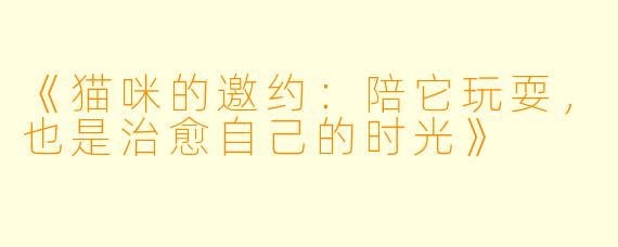 《猫咪的邀约：陪它玩耍，也是治愈自己的时光》