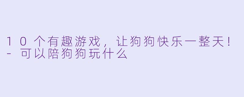 10个有趣游戏，让狗狗快乐一整天！-可以陪狗狗玩什么