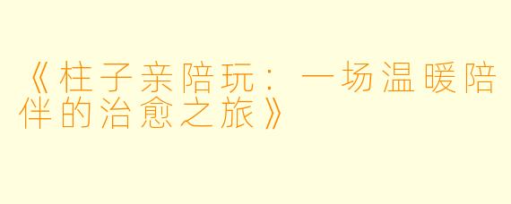 《柱子亲陪玩：一场温暖陪伴的治愈之旅》
