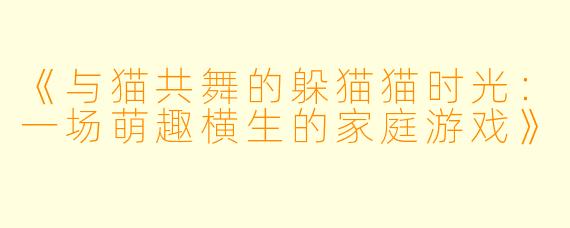 《与猫共舞的躲猫猫时光：一场萌趣横生的家庭游戏》