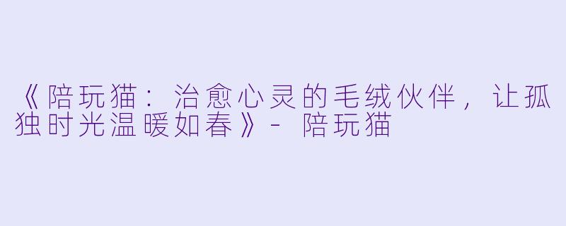 《陪玩猫：治愈心灵的毛绒伙伴，让孤独时光温暖如春》-陪玩猫