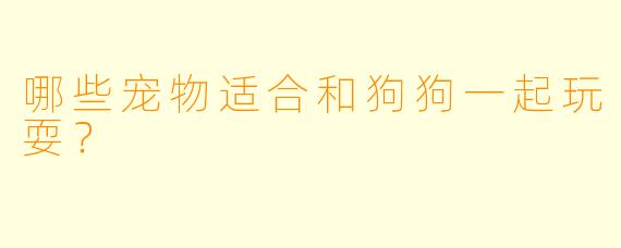 哪些宠物适合和狗狗一起玩耍？
