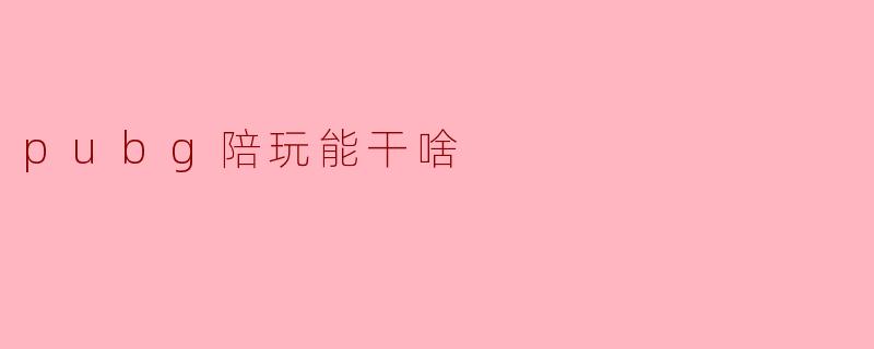 pubg陪玩能干啥