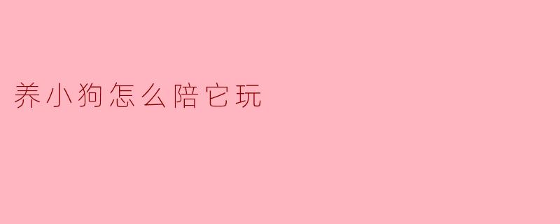 养小狗怎么陪它玩