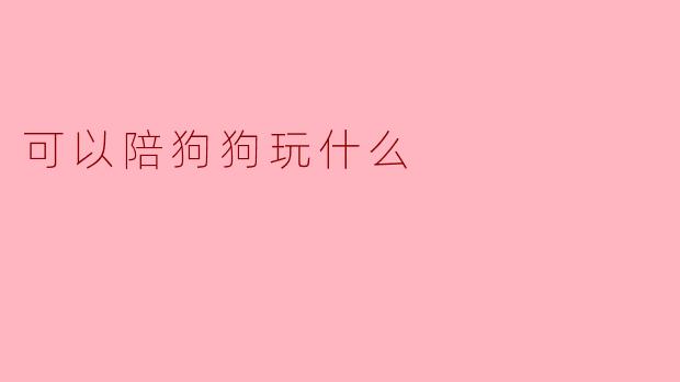 可以陪狗狗玩什么
