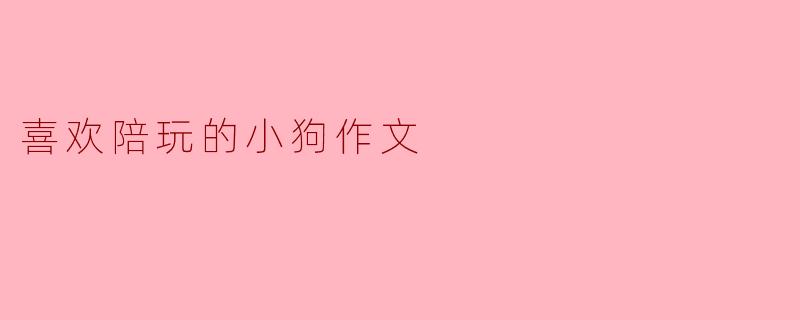 喜欢陪玩的小狗作文