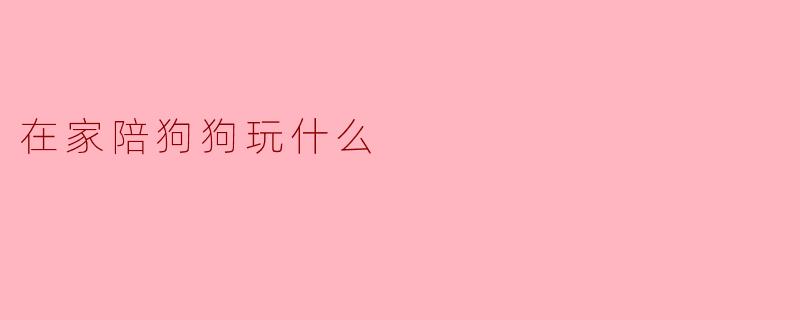 在家陪狗狗玩什么