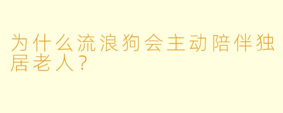 为什么流浪狗会主动陪伴独居老人？