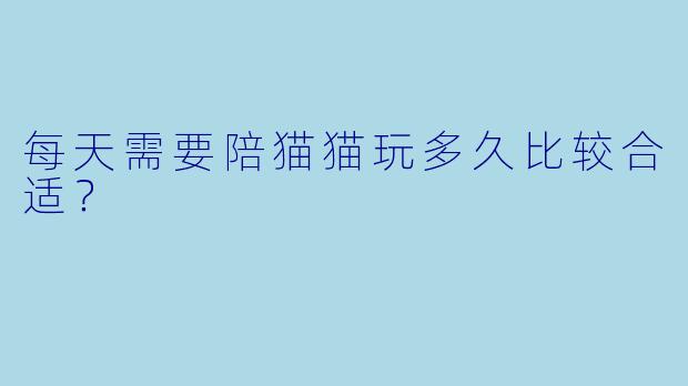 每天需要陪猫猫玩多久比较合适？