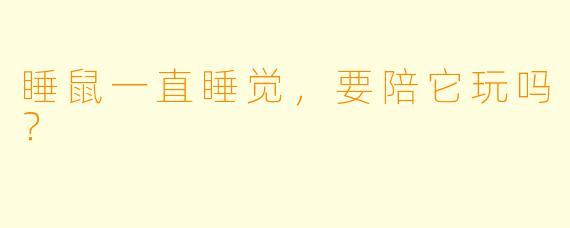 睡鼠一直睡觉，要陪它玩吗？