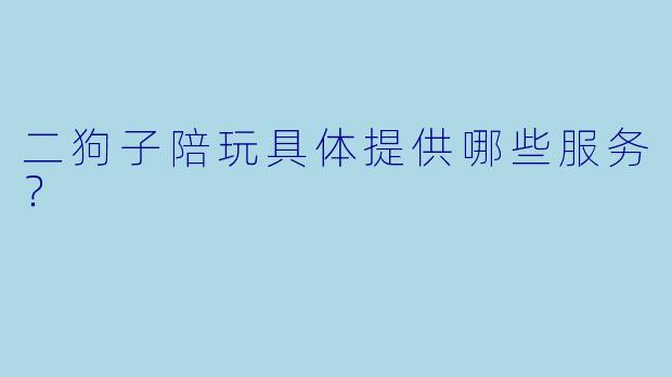 二狗子陪玩具体提供哪些服务？