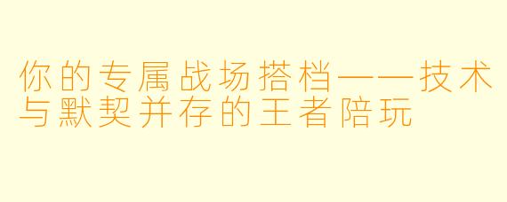 你的专属战场搭档——技术与默契并存的王者陪玩