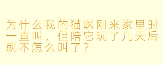 为什么我的猫咪刚来家里时一直叫，但陪它玩了几天后就不怎么叫了？