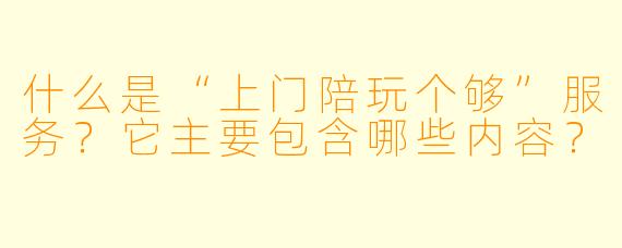 什么是“上门陪玩个够”服务？它主要包含哪些内容？
