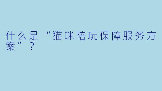 什么是“猫咪陪玩保障服务方案”？