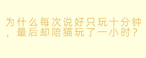 为什么每次说好只玩十分钟，最后却陪猫玩了一小时？