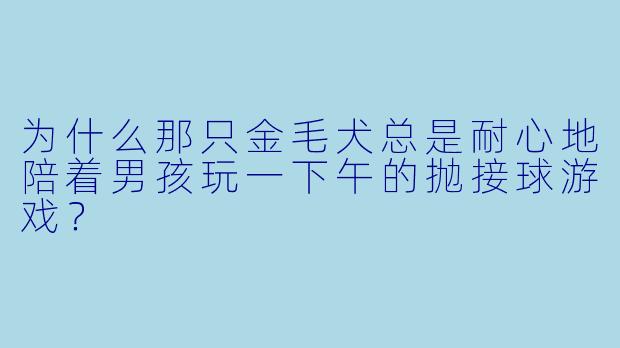 为什么那只金毛犬总是耐心地陪着男孩玩一下午的抛接球游戏？