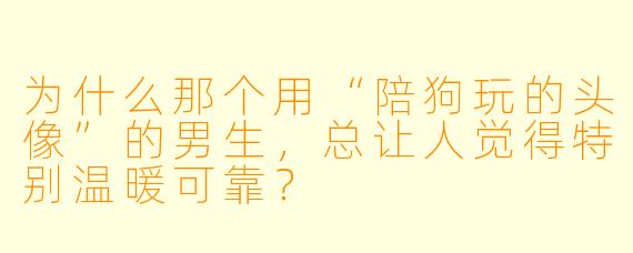 为什么那个用“陪狗玩的头像”的男生，总让人觉得特别温暖可靠？