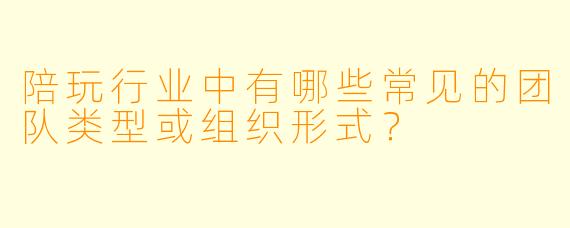 陪玩行业中有哪些常见的团队类型或组织形式？