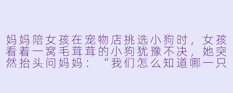 妈妈陪女孩在宠物店挑选小狗时，女孩看着一窝毛茸茸的小狗犹豫不决，她突然抬头问妈妈：“我们怎么知道哪一只是属于我的小狗呢？”妈妈笑着摸了摸她的头，给出了怎样的回答？-妈妈陪女孩买小狗玩