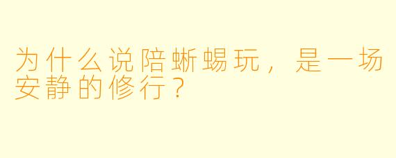 为什么说陪蜥蜴玩，是一场安静的修行？