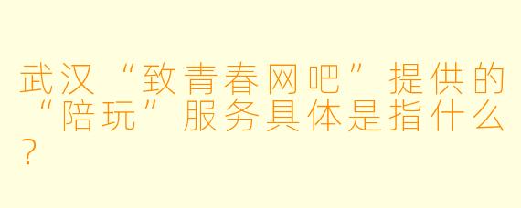 武汉“致青春网吧”提供的“陪玩”服务具体是指什么？
