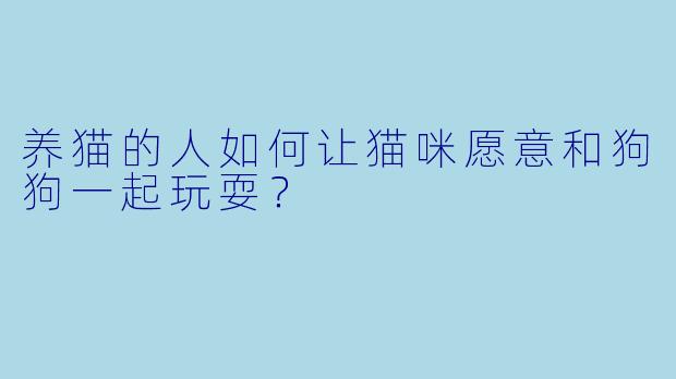 养猫的人如何让猫咪愿意和狗狗一起玩耍？