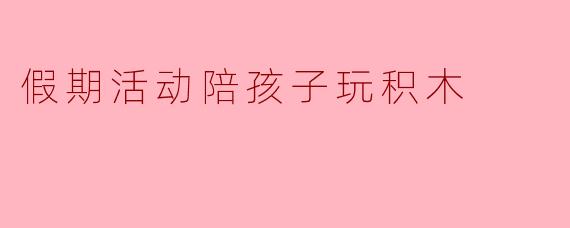 假期活动陪孩子玩积木