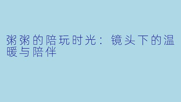 粥粥的陪玩时光：镜头下的温暖与陪伴