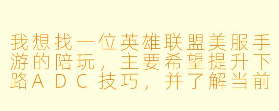 我想找一位英雄联盟美服手游的陪玩，主要希望提升下路ADC技巧，并了解当前版本强势英雄。请问你们提供怎样的陪玩服务？具体流程和收费如何？