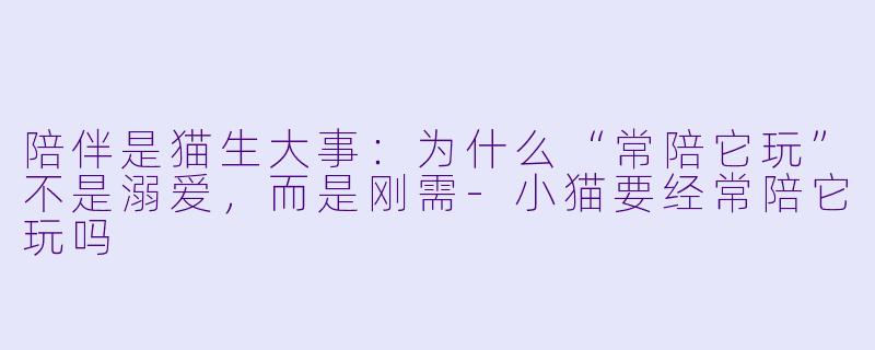 陪伴是猫生大事：为什么“常陪它玩”不是溺爱，而是刚需-小猫要经常陪它玩吗