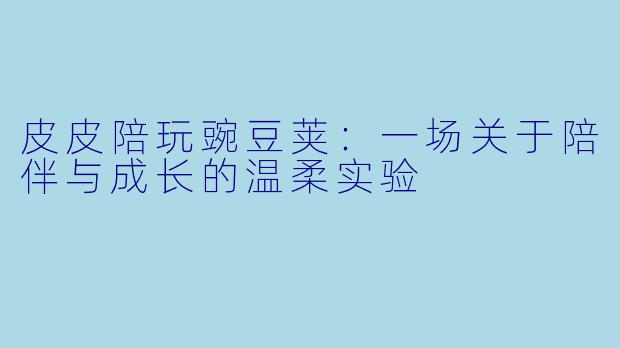 皮皮陪玩豌豆荚：一场关于陪伴与成长的温柔实验